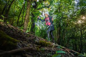 BIB: 
                            <button type="button" onclick="openModal(16015631)" class="btn btn-primary btn-sm float-right btn-popup" data-toggle="modal" data-target=".modal-high-quality">
                        <i class="fas fa-shopping-cart"></i> Add to Cart
                    </button>
                                            <button type="button" onclick="isThisMe(16015631, true)" class="btn btn-success btn-sm float-right btn-popup btn-isme hidden" data-toggle="tooltip" data-placement="bottom" title="นี่คือรูปของคุณใช่ไหม คลิกที่นี่เพื่อเอาเข้าอัลบั้ม">
                        <i class="fas fa-plus"></i> Add to album
                    </button>
                    <button type="button" onclick="isThisMe(16015631, false)" class="btn btn-warning btn-sm float-right btn-popup btn-isnotme hidden">
                        <i class="fas fa-ban"></i> Remove from album
                    </button>